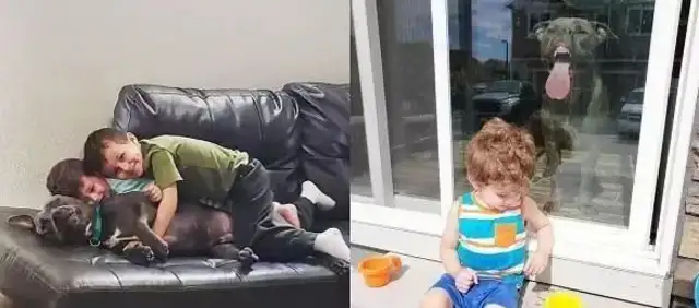 Come out without it. Mother takes pictures of her eldest son. Bitts are ugly, laughing at the whole family
