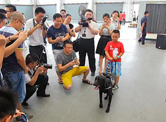 On the anti-drug campaign, the anti-narcotic dog gave a live tribute to the crowd