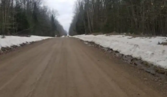 The woman found something moving on the Wisconsin road