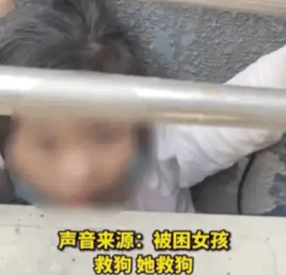 The little girl drilled the shield to save the dog, crying and asking the fireman:
