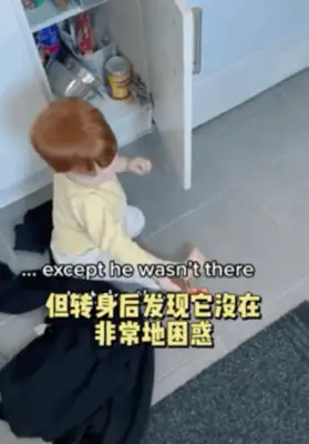 The little girl drilled the shield to save the dog, crying and asking the fireman: