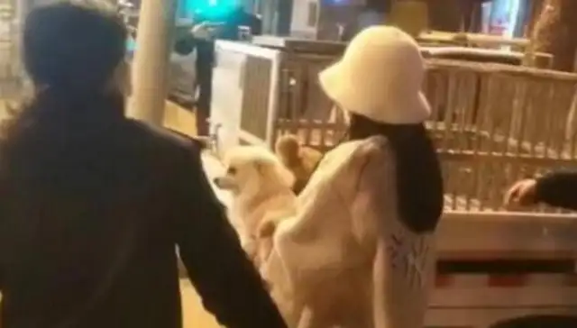 Walking the dog down the child, the dog owner calls it 