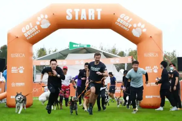 The dog can't stand a fight, the Buddy Warriors are at the opening