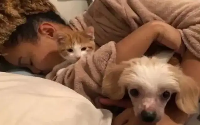 A man has temporarily adopted an orange cat