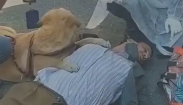 The master fainted, the guide dog stood down and the medics couldn't get away