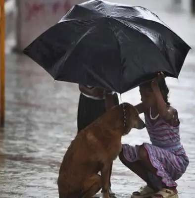 For 21 years, women have adopted more than 200 stray cats and dogs who have been abandoned