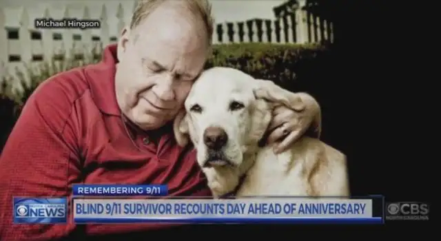 The master fainted, the guide dog stood down and the medics couldn't get away