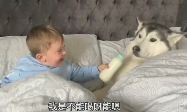 The master ran away from his father, but he had to sleep with him and share his milk with the dog