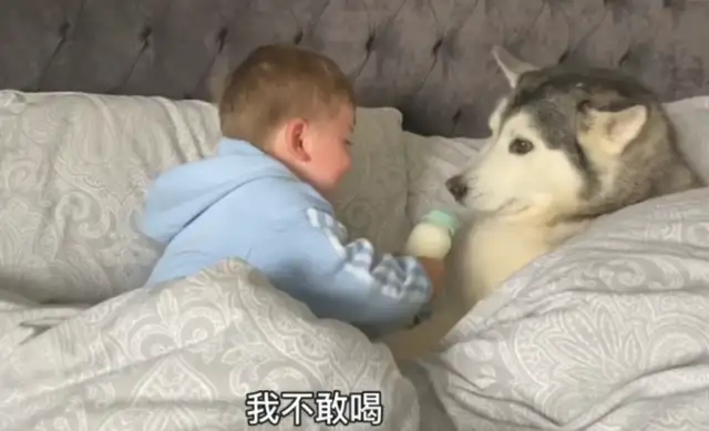 The master ran away from his father, but he had to sleep with him and share his milk with the dog