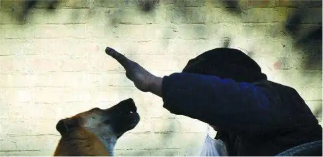Dogs are afraid of these five things, even if you're the owner, don't do it to dogs