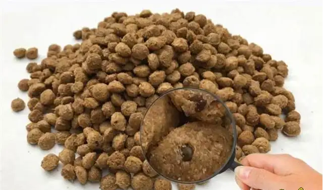Dogs are afraid of these five things, even if you're the owner, don't do it to dogs