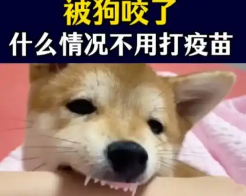 It's very aggressive