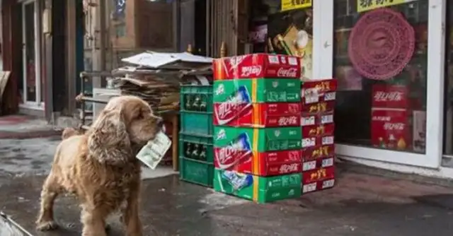 Eating dogs take a dollar a day and buy their own snacks and go home, and they're all out!