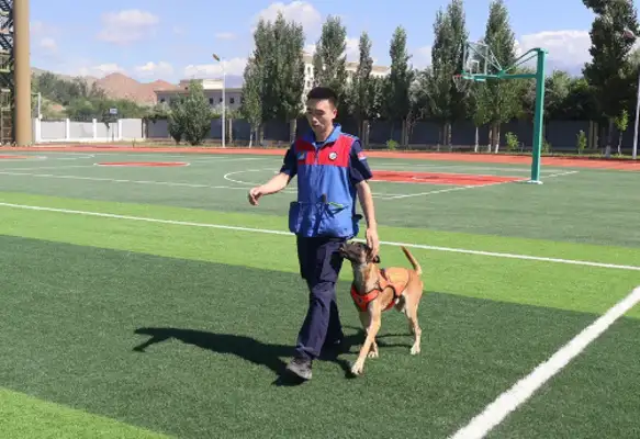 The Blue Wing formed a plan to report to the search and rescue dog 麒麟 !