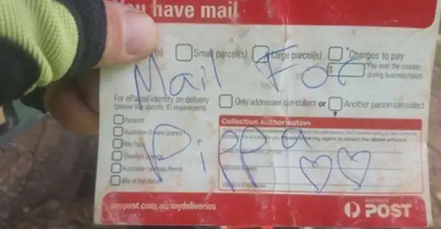 The dog's day-to-day at the postman's office. The postman's specializing in mail for better reception