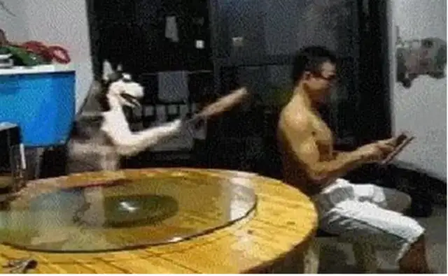 The house's air conditioner's broken. The owner of the dog jumps the wall