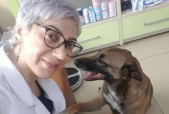 A woman insists on helping a stray dog. Some doggies get hurt and ask for help