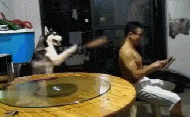 The house's air conditioner's broken. The owner of the dog jumps the wall