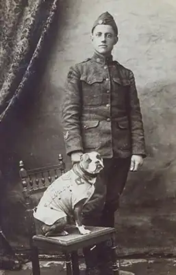 Don't underestimate this ordinary dog. It's a real World War I hero with a lot of military merit