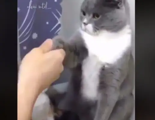 I'll let you know who's boss