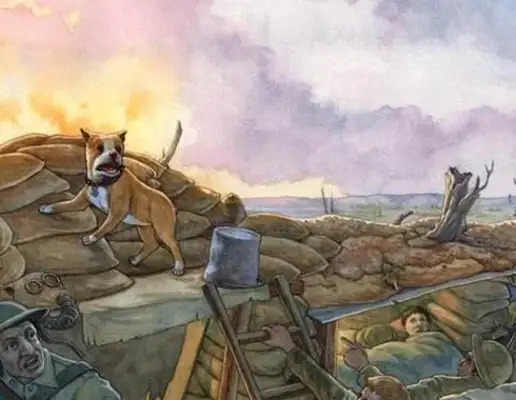 Don't underestimate this ordinary dog. It's a real World War I hero with a lot of military merit