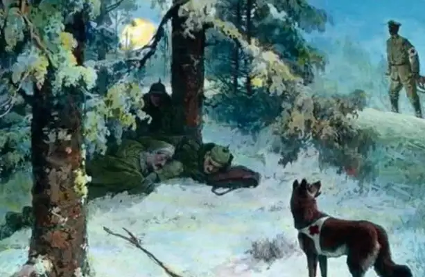 Don't underestimate this ordinary dog. It's a real World War I hero with a lot of military merit