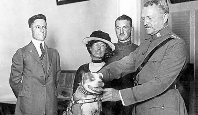 Don't underestimate this ordinary dog. It's a real World War I hero with a lot of military merit