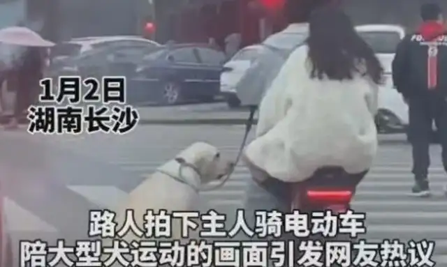 The owner rides the electric car, the big dog, and the filmmaker, "Esperately warm."