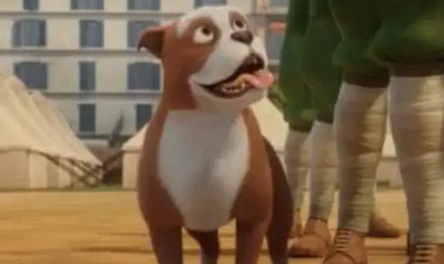 Don't underestimate this ordinary dog. It's a real World War I hero with a lot of military merit