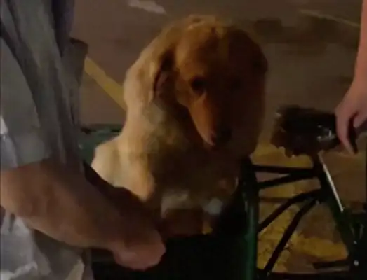 He's only got $40 a month to live and still doesn't abandon his dog