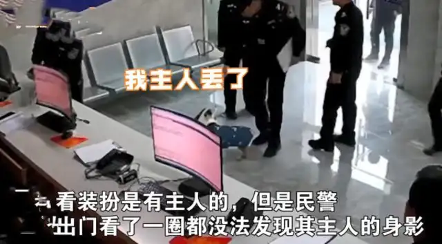 There's a dog in the police station, all around the police: Where's the cutie