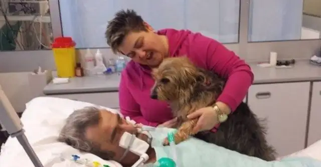 A heart attack while walking a dog