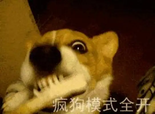 Watch out! Don't ignore it. It's all a sign of rabies