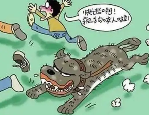 Watch out! Don't ignore it. It's all a sign of rabies