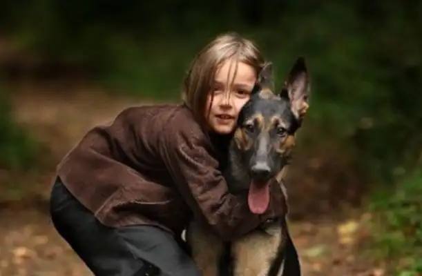 Children who spend a long time with cats and dogs are not easily ill