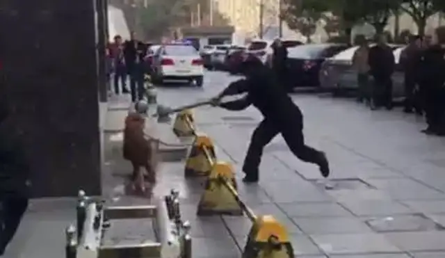 The police beat the dog to death with a stick