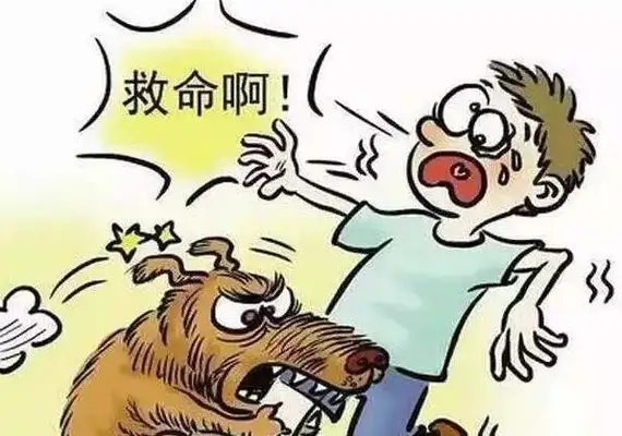 Watch out! Don't ignore it. It's all a sign of rabies
