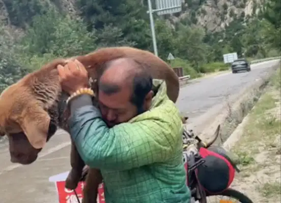 The man on the road ran into a big stray dog and decided to take him with him. Come on