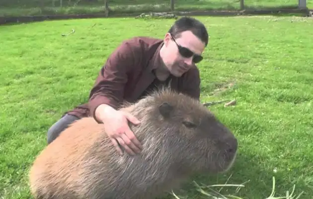 The beaver who grew up with the dog left, and the dog was so sad