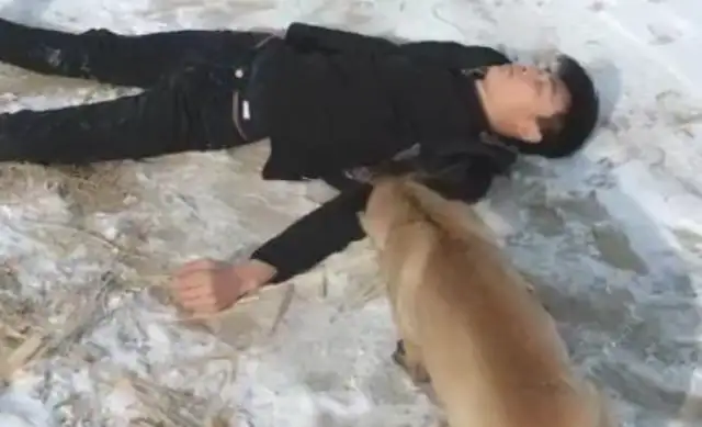 The master pretended to faint in the snow, and the horse dog died. Fight! Move