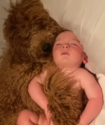 Let the baby and the dog live in their own homes and warm their hearts when they open the door: It's too warm