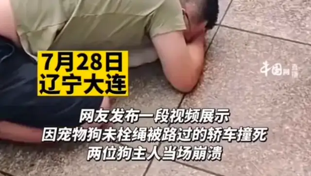 The pet dog was hit by a car. The hostess fainted and the man kneeled with his head. Car