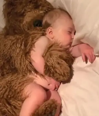 Let the baby and the dog live in their own homes and warm their hearts when they open the door: It's too warm