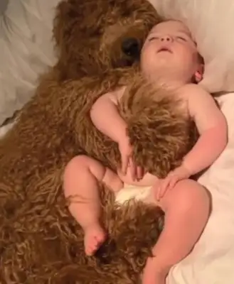 Let the baby and the dog live in their own homes and warm their hearts when they open the door: It's too warm