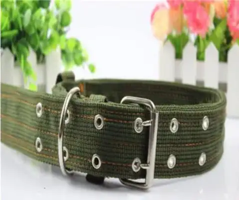 The dog's collar is wrong