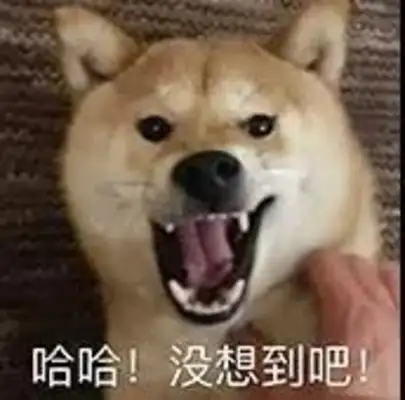 Dogs for New Year. Don't want to jump, you have to read it;