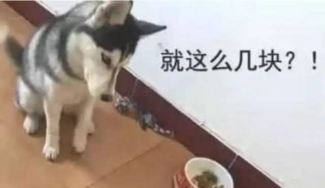When the dog's food is almost over, he'll have a little less gold