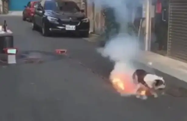 Dogs step on firecrackers already lit. Dogs: Who's after me