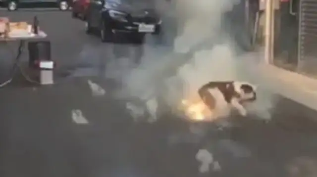 Dogs step on firecrackers already lit. Dogs: Who's after me