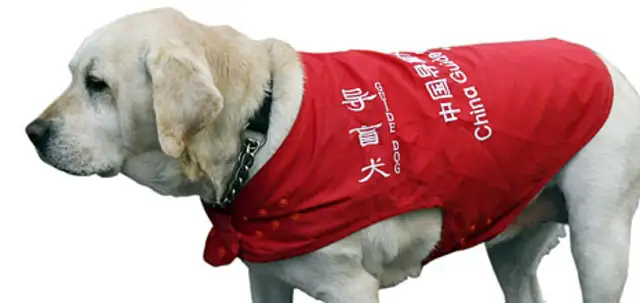The guide dogs should not be denied access to public places